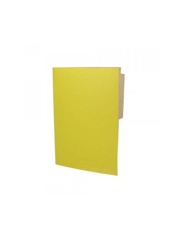 -Carpeta Pigmentada Color Amarillo | DColon