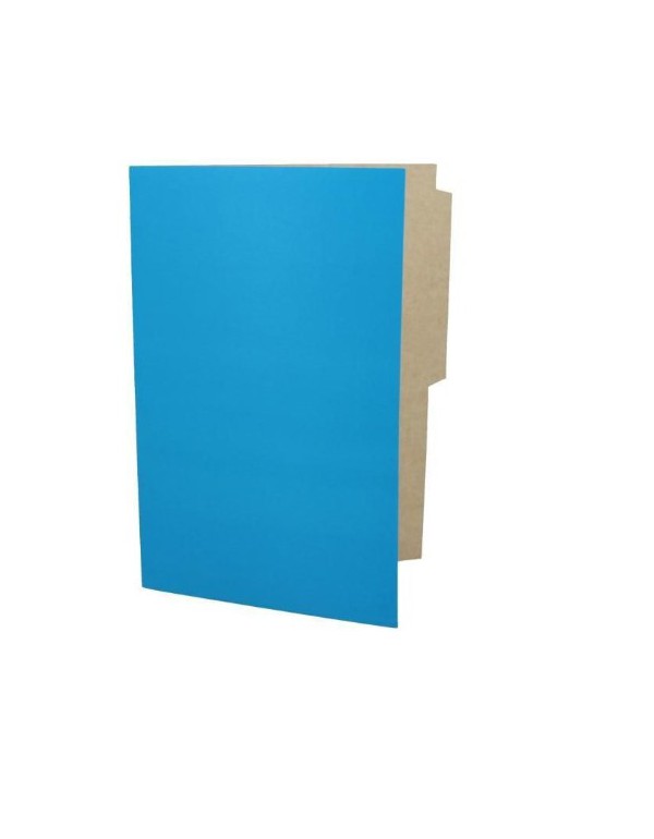 -Carpeta Pigmentada Color Celeste | DColon