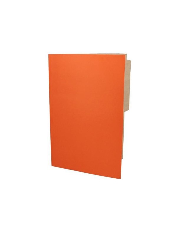 -Carpeta Pigmentada Color Naranjo | DColon