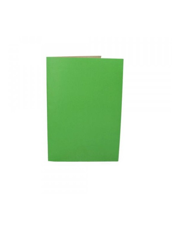 -Carpeta Pigmentada Color Verde Claro | DColon